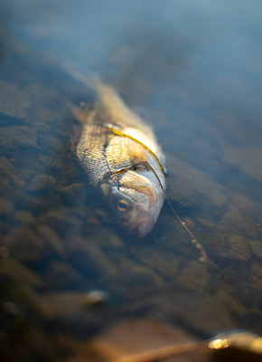 day care home gallery image 1 1